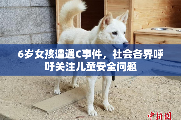 6岁女孩遭遇C事件，社会各界呼吁关注儿童安全问题