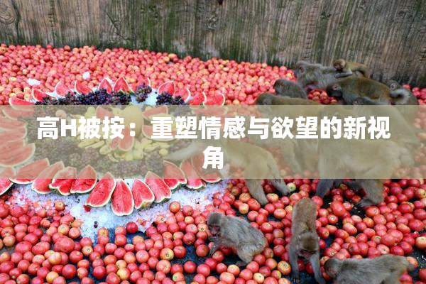 高H被按：重塑情感与欲望的新视角