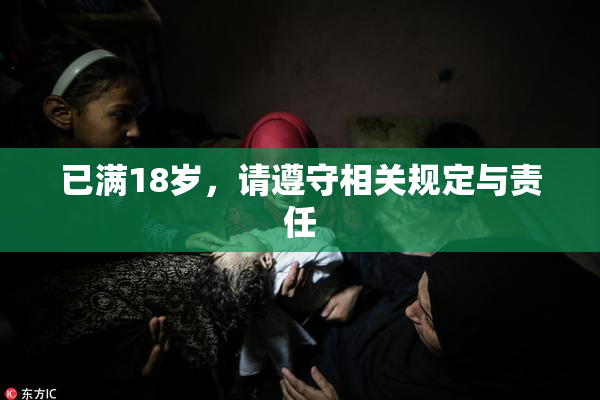 已满18岁，请遵守相关规定与责任