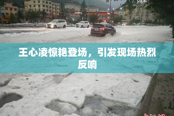 王心凌惊艳登场，引发现场热烈反响