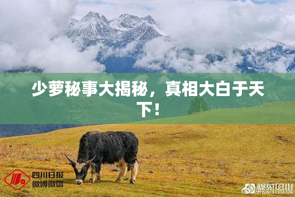 少萝秘事大揭秘，真相大白于天下！