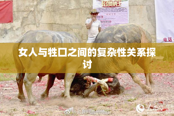 女人与牲囗之间的复杂性关系探讨