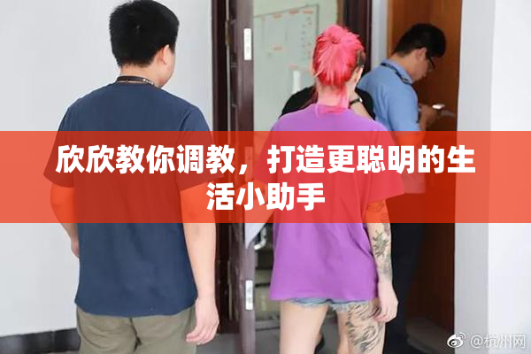 欣欣教你调教，打造更聪明的生活小助手