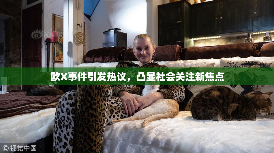 欧X事件引发热议，凸显社会关注新焦点