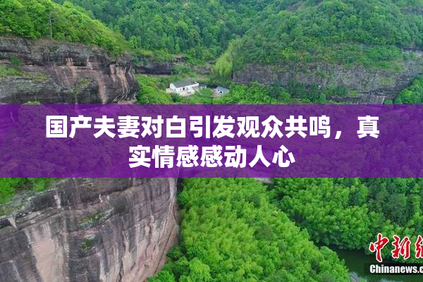 国产夫妻对白引发观众共鸣，真实情感感动人心