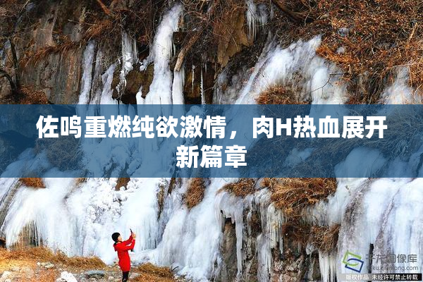 佐鸣重燃纯欲激情，肉H热血展开新篇章