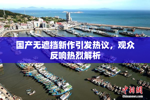 国产无遮挡新作引发热议，观众反响热烈解析