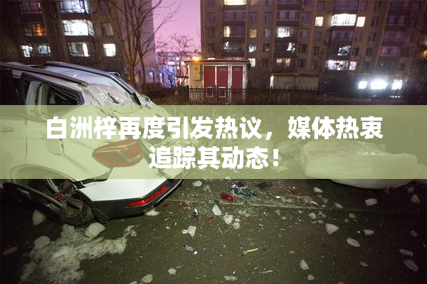 白洲梓再度引发热议，媒体热衷追踪其动态！