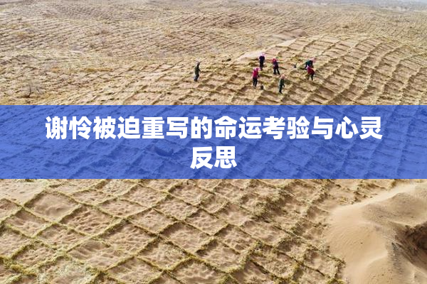 谢怜被迫重写的命运考验与心灵反思