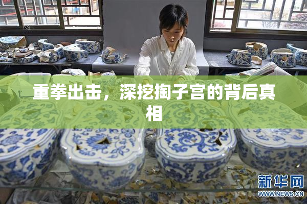 重拳出击，深挖掏子宫的背后真相