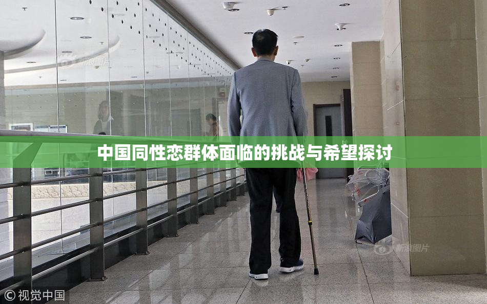 中国同性恋群体面临的挑战与希望探讨
