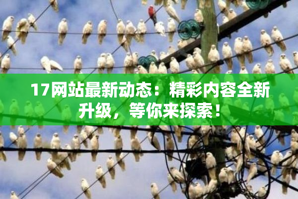17网站最新动态：精彩内容全新升级，等你来探索！