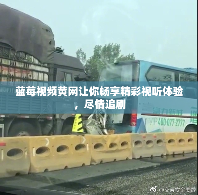 蓝莓视频黄网让你畅享精彩视听体验，尽情追剧
