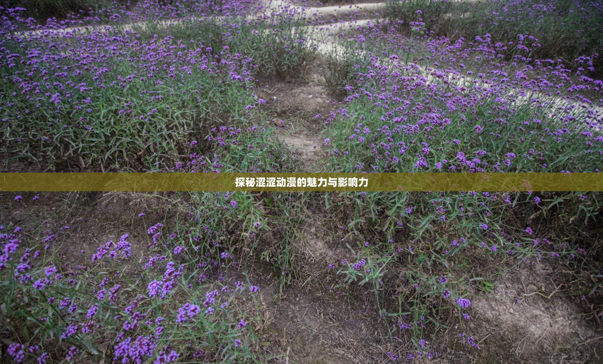 探秘涩涩动漫的魅力与影响力