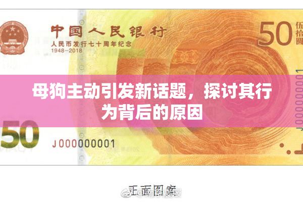 母狗主动引发新话题，探讨其行为背后的原因