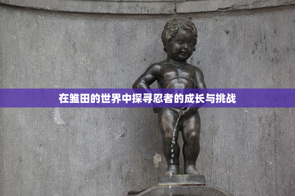 在雏田的世界中探寻忍者的成长与挑战