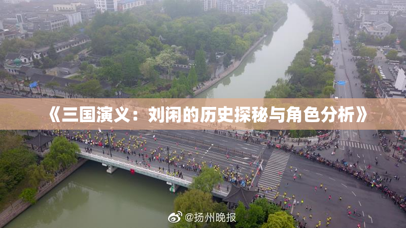 《三国演义：刘闲的历史探秘与角色分析》
