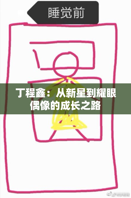 丁程鑫：从新星到耀眼偶像的成长之路