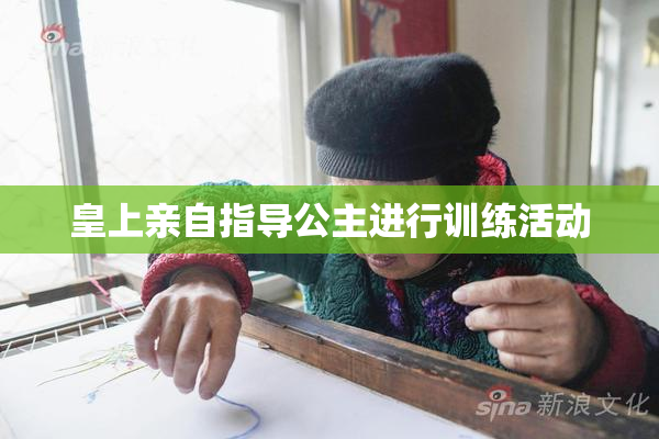 皇上亲自指导公主进行训练活动