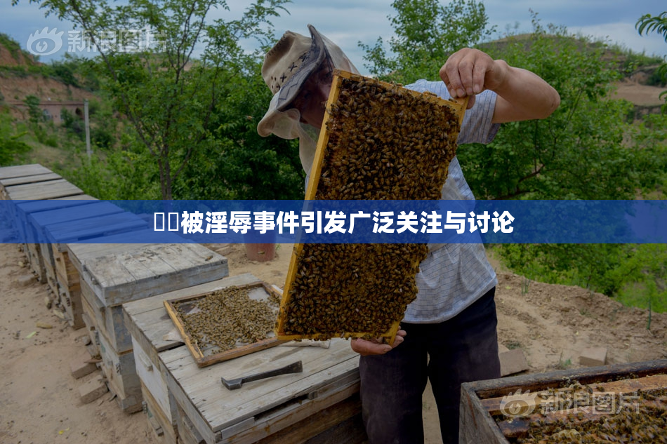 妺妺被淫辱事件引发广泛关注与讨论