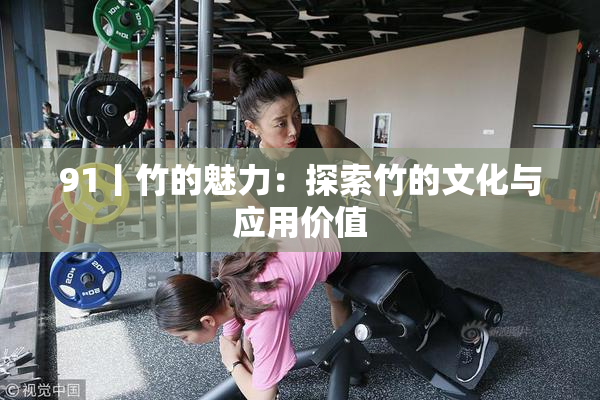 91丨竹的魅力：探索竹的文化与应用价值