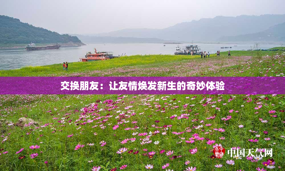 交换朋友：让友情焕发新生的奇妙体验
