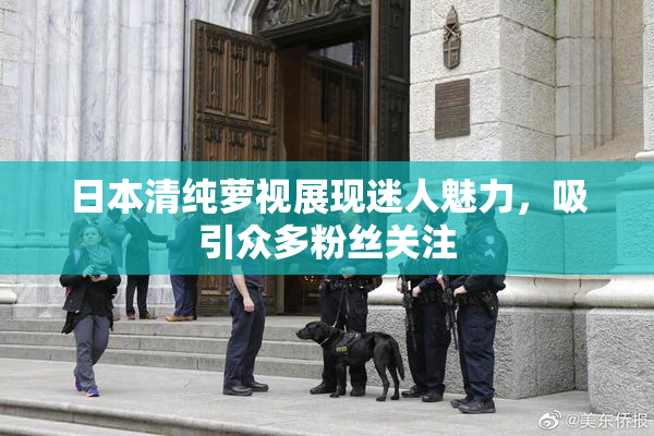日本清纯萝视展现迷人魅力，吸引众多粉丝关注