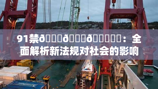 91禁🍆🍑🔞❌‌：全面解析新法规对社会的影响