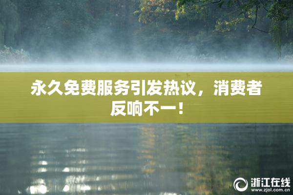 永久免费服务引发热议，消费者反响不一！