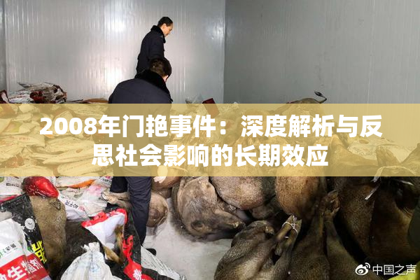 2008年门艳事件：深度解析与反思社会影响的长期效应