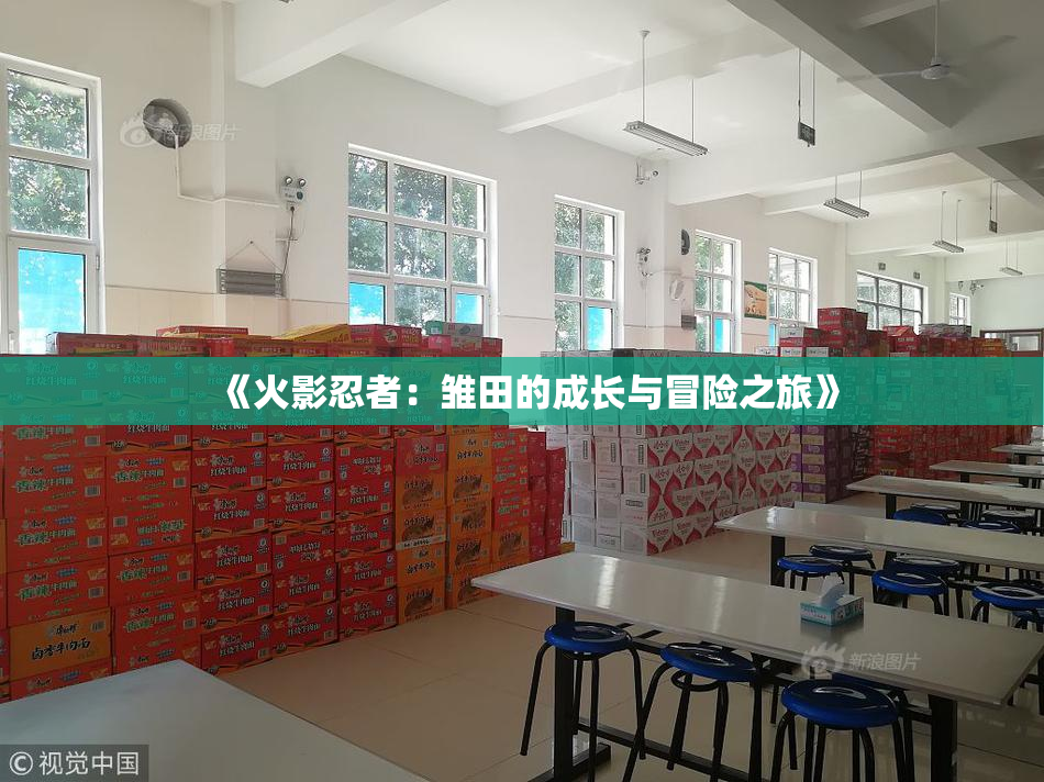 《火影忍者：雏田的成长与冒险之旅》