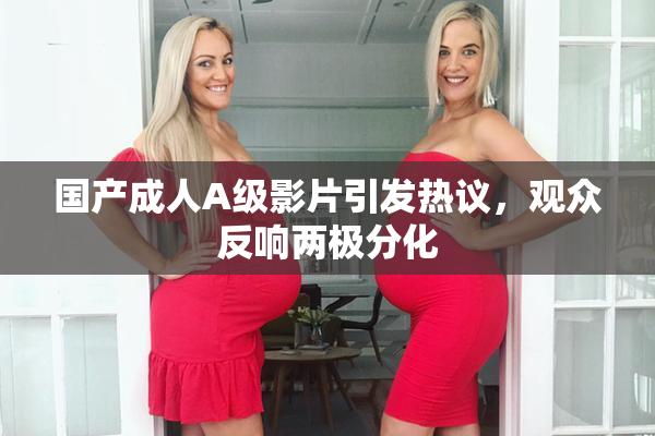 国产成人A级影片引发热议，观众反响两极分化