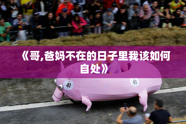 《哥,爸妈不在的日子里我该如何自处》