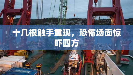 十几根触手重现，恐怖场面惊吓四方