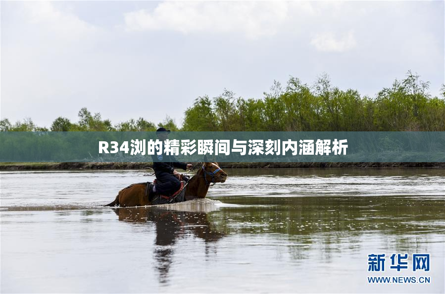 R34浏的精彩瞬间与深刻内涵解析