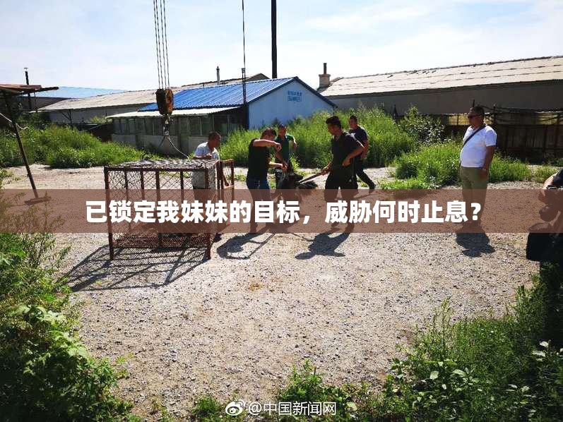 已锁定我妹妹的目标，威胁何时止息？