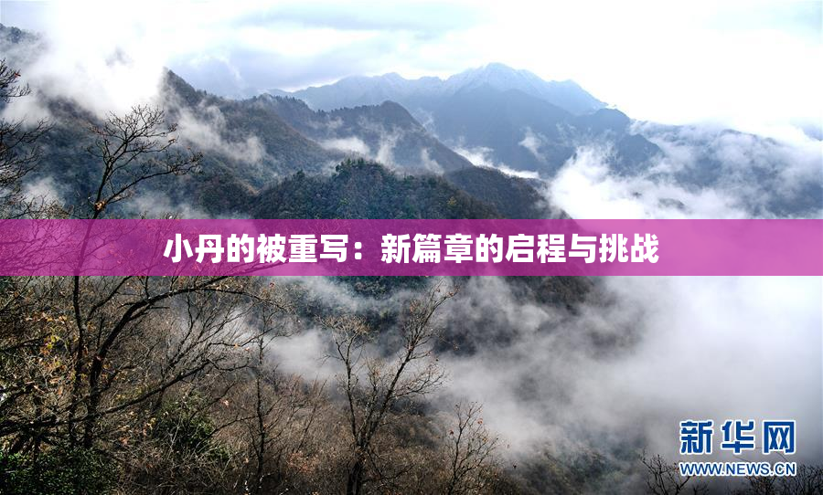 小丹的被重写：新篇章的启程与挑战