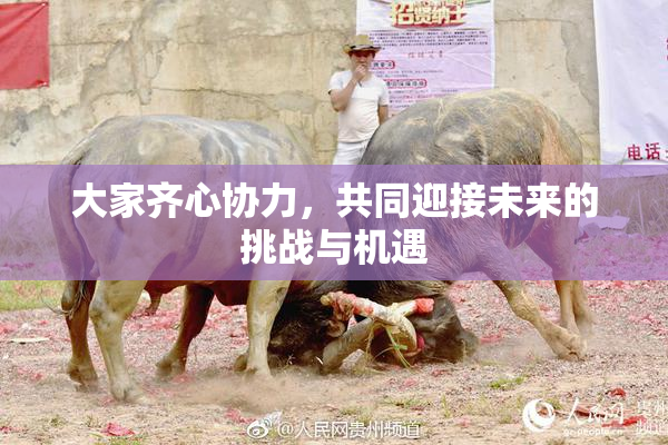 大家齐心协力，共同迎接未来的挑战与机遇