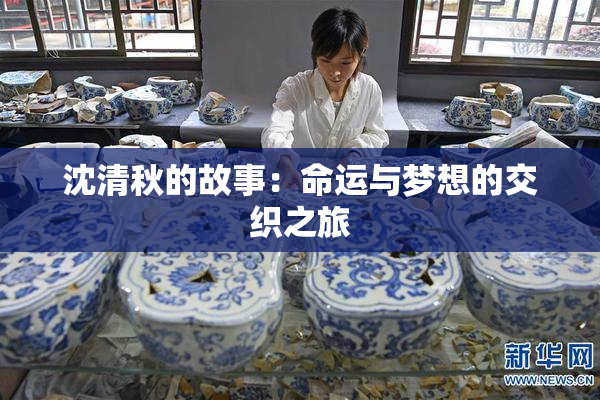 沈清秋的故事：命运与梦想的交织之旅