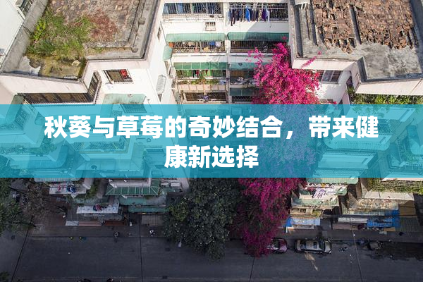 秋葵与草莓的奇妙结合，带来健康新选择