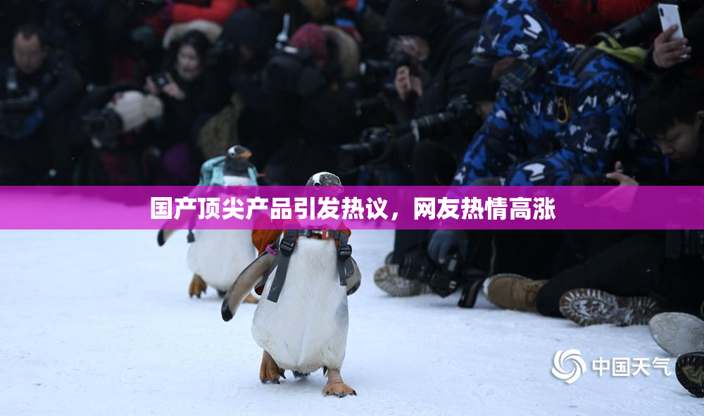 国产顶尖产品引发热议，网友热情高涨