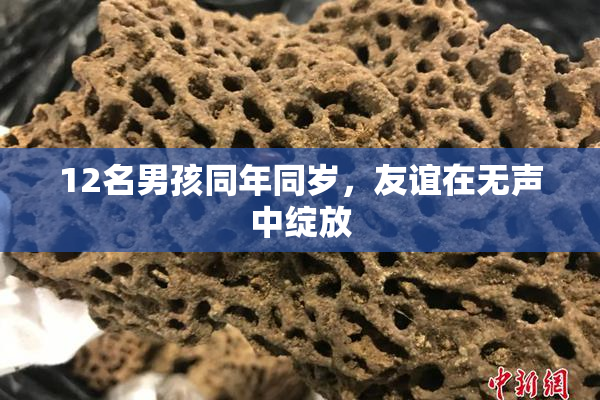 12名男孩同年同岁，友谊在无声中绽放