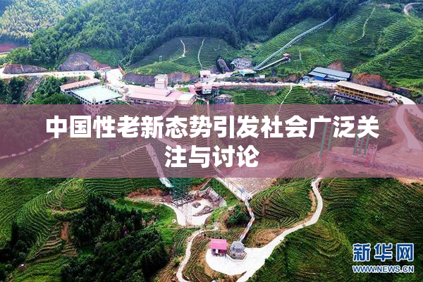 中国性老新态势引发社会广泛关注与讨论