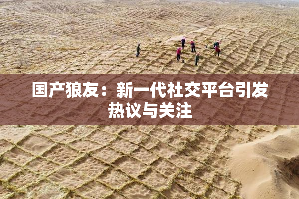 国产狼友：新一代社交平台引发热议与关注