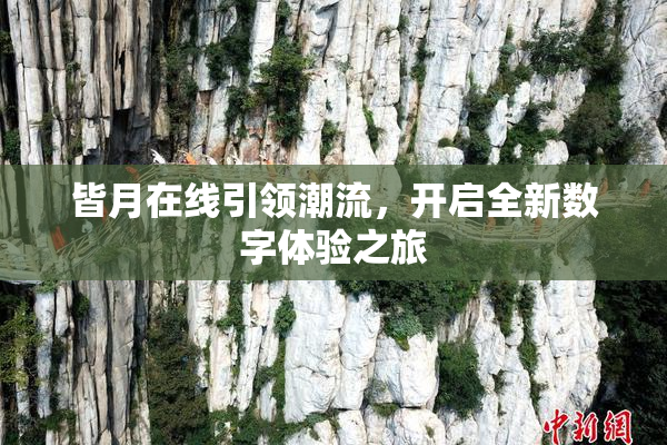 皆月在线引领潮流，开启全新数字体验之旅