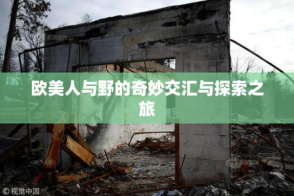 欧美人与野的奇妙交汇与探索之旅