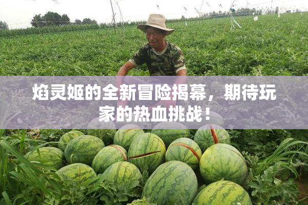 焰灵姬的全新冒险揭幕，期待玩家的热血挑战！