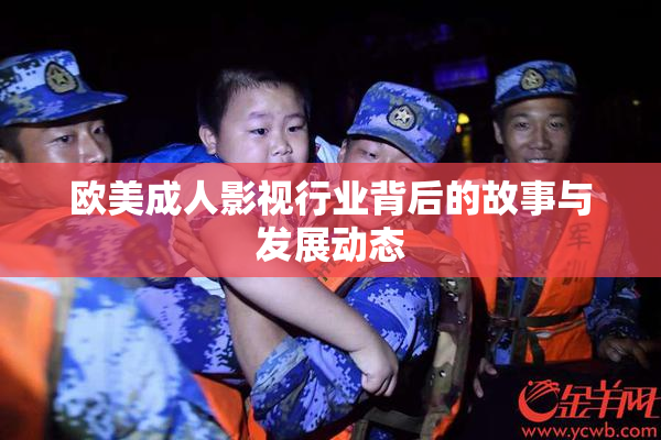 欧美成人影视行业背后的故事与发展动态