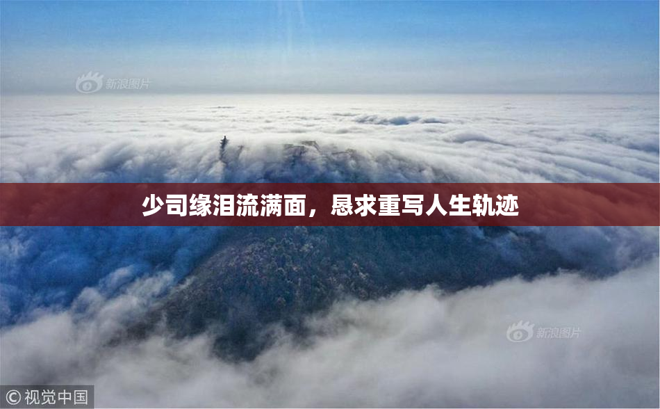 少司缘泪流满面，恳求重写人生轨迹
