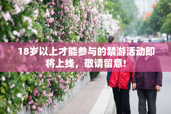 18岁以上才能参与的禁游活动即将上线，敬请留意!